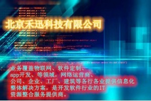 拓展定制軟件開發——禾迅科技助力企業數字化轉型