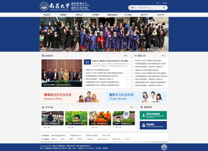 網絡營銷與網絡軟件開發 數字化時代的雙輪驅動